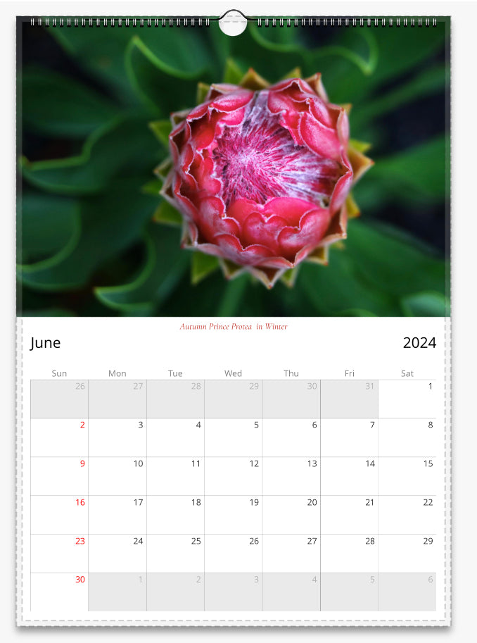 2024 Seasonal Flower Wall A3 and A4 Calendars