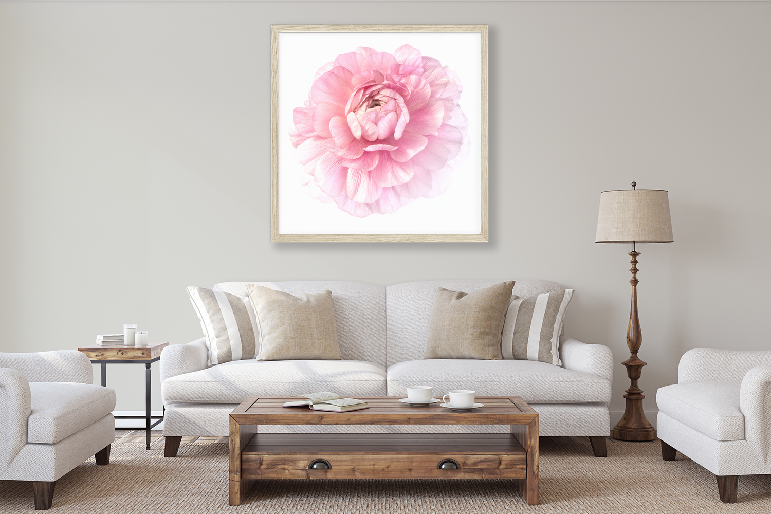 Large Fine Art Print of Pink Ranunculus on Lounge Room wall above cream coloured lounge