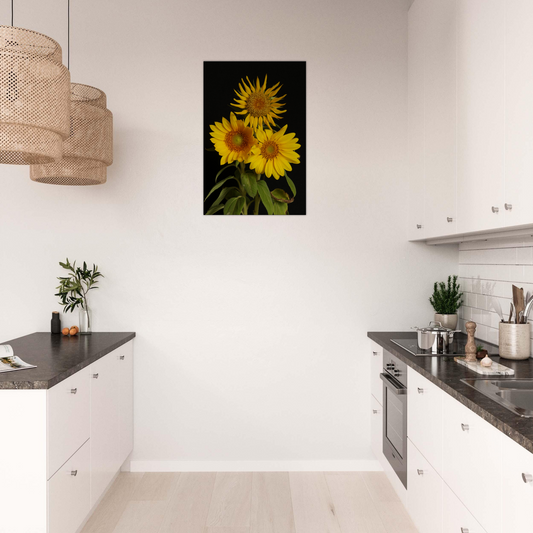 Brighten up your room - Sunflower Canvas Print