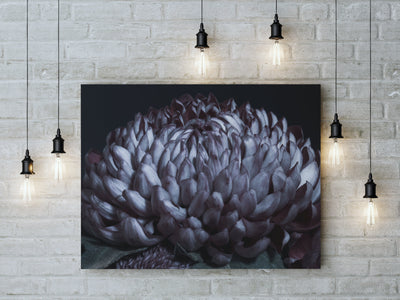 Large mauve chrysanthemum art art print hanging on brick wall with lights