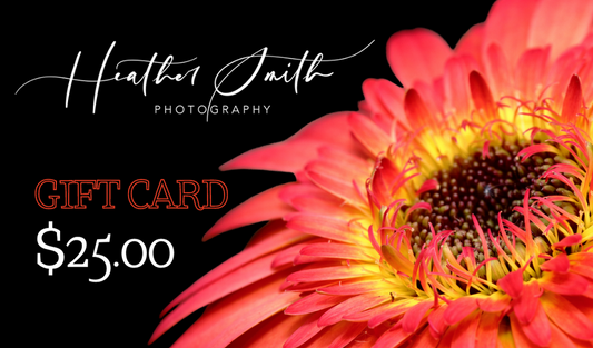 Sunsets and Flowers Photography Gift Cards