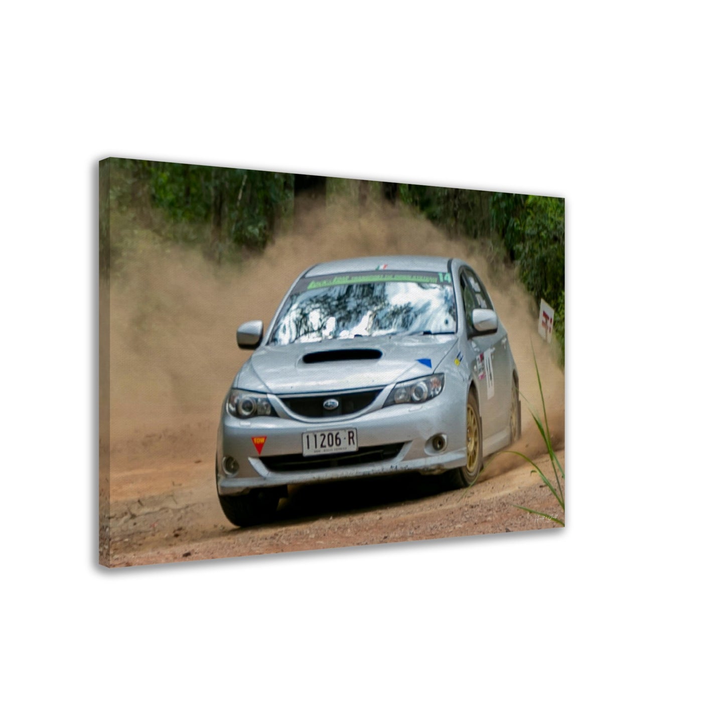 Amsag Taree Rally - Car 14 - Mac Kierans / Muireann Hayes